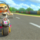 Illustration for article titled Mario Kart 8's Splatoon Inklings Must Be Protected At All Costs